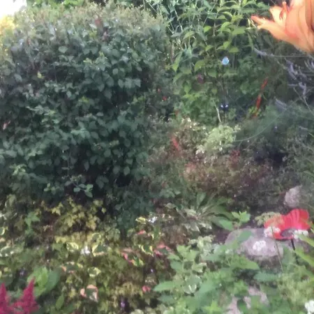 Bellevue De La Rive Gauche Bed and breakfast Pessac-sur-Dordogne