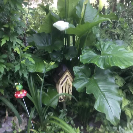 Bellevue De La Rive Gauche Bed and breakfast