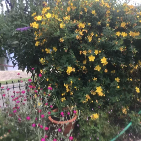 Bed and breakfast Bellevue De La Rive Gauche *