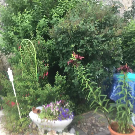 Bellevue De La Rive Gauche