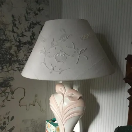 Bellevue De La Rive Gauche B&B