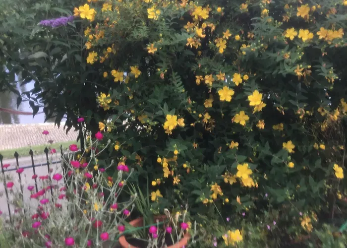 Bed and Breakfast Bellevue De La Rive Gauche *